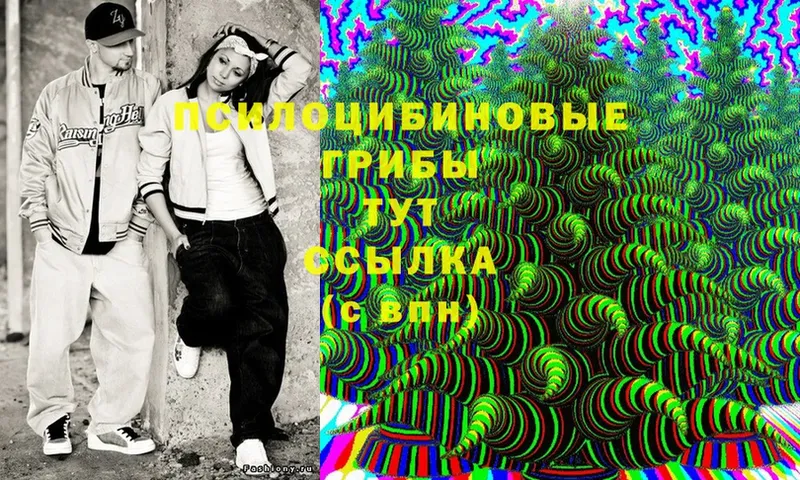 Псилоцибиновые грибы Magic Shrooms  Бутурлиновка 